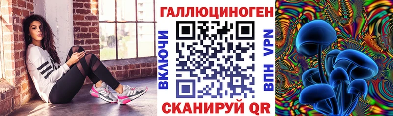 Купить закладки  Чапаевск  Галлюциногенные грибы MAGIC MUSHROOMS 
